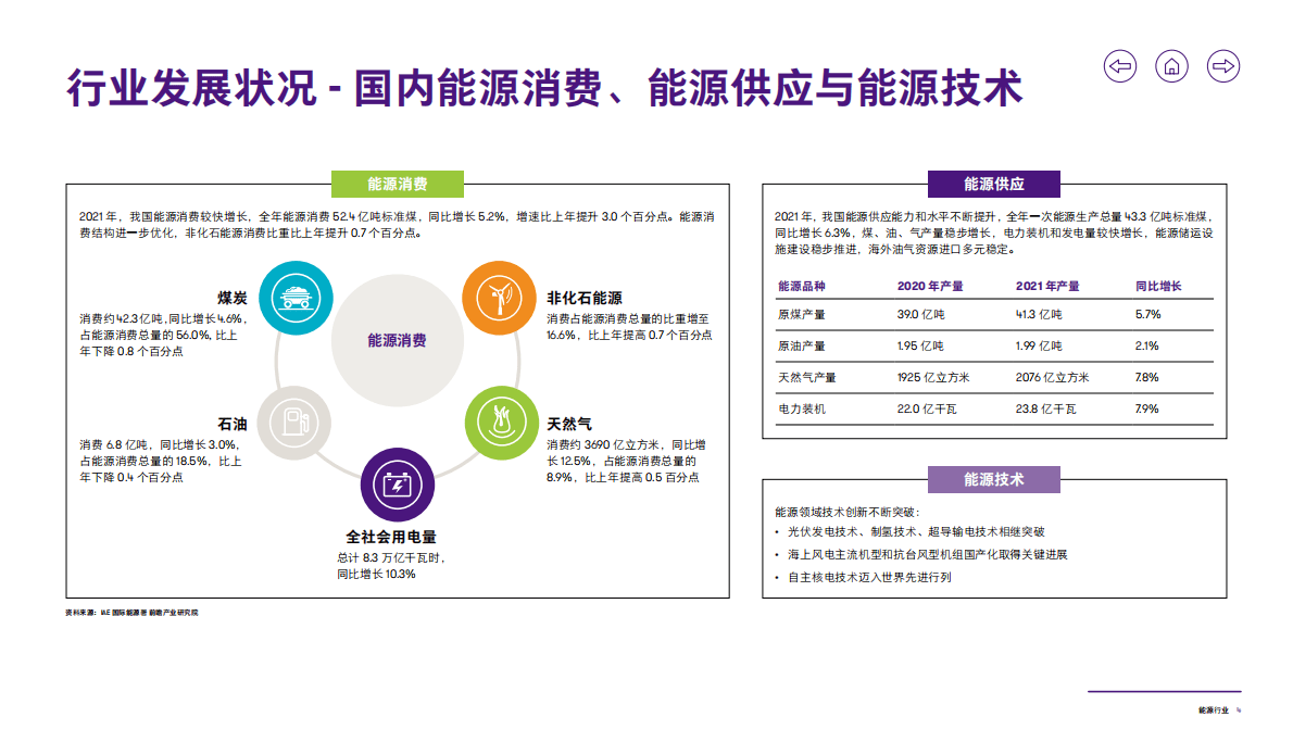 致同咨询：2022年能源行业洞察 第5页