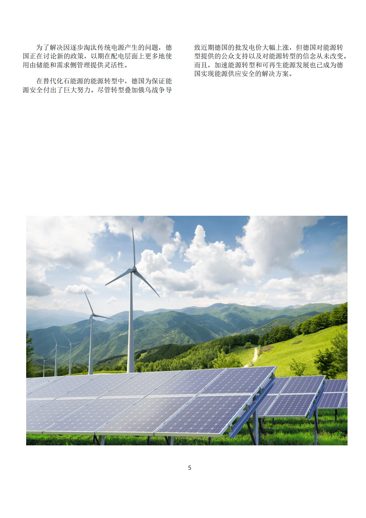 GIZ：德国电力行业的供应安全：挑战与措施简述 第5页