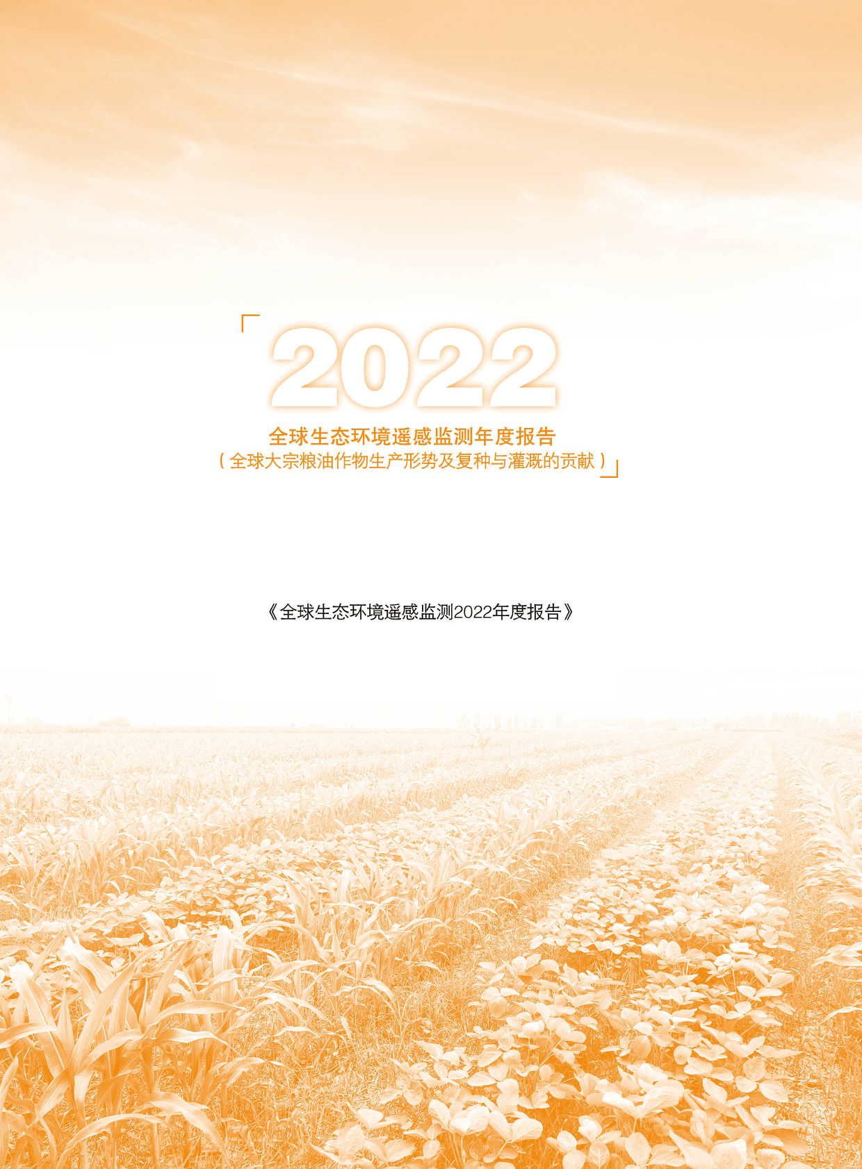 国家遥感中心：2022全球生态环境遥感监测年度报告&mdash;&mdash;全球大宗粮油作物生产形势及复种与灌溉的贡献 第3页