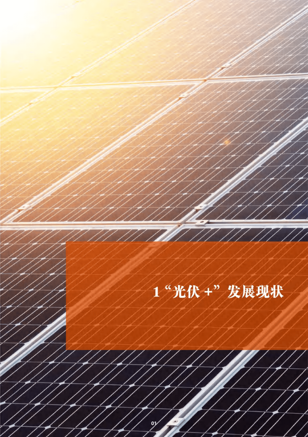 山西科城能源环境研究院：中国光伏+典型案例调查分析报告 第5页