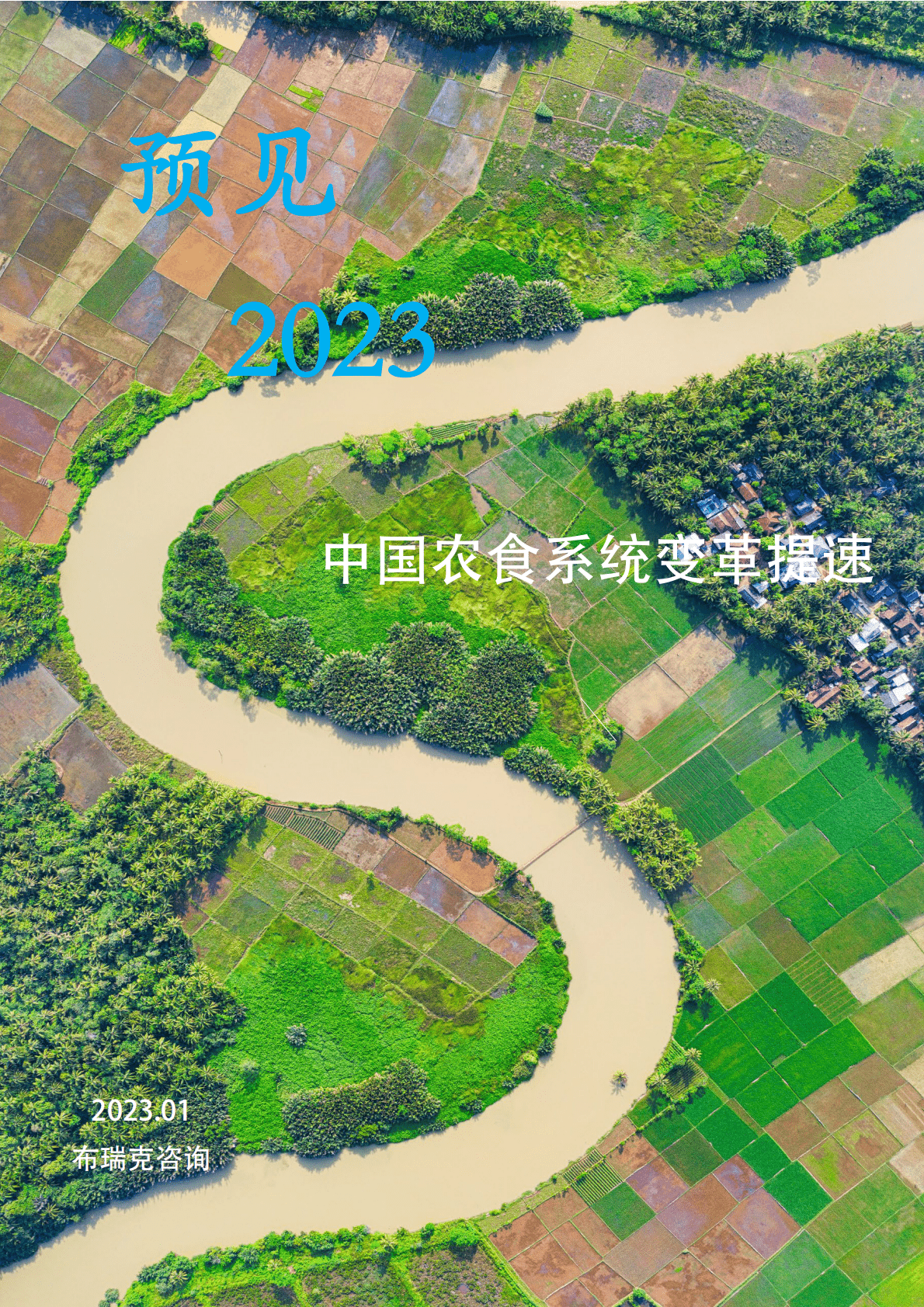 布瑞克咨询：预见2023：中国农食系统变革提速 第1页