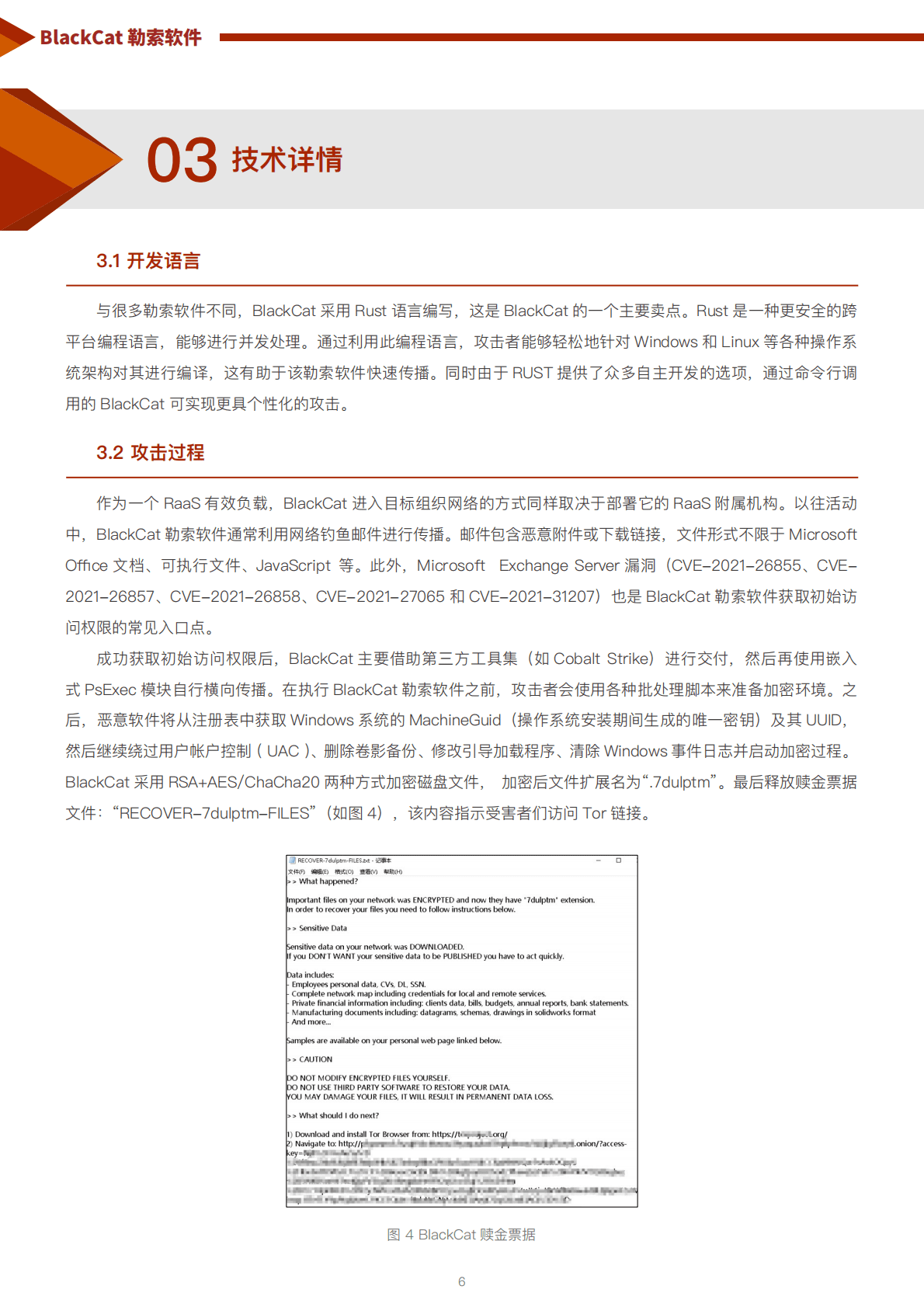 天际友盟：勒索软件系列报告之四丨三重勒索软件BlackCat 第6页