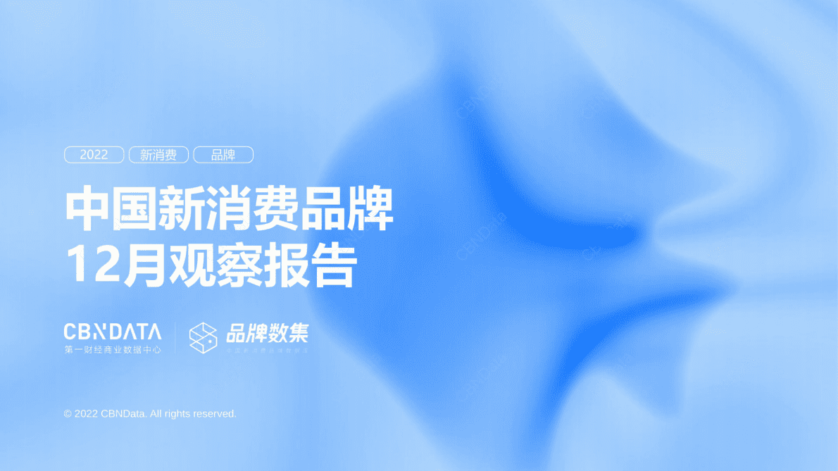CBNData：2022年12月中国新消费品牌观察报告 第1页