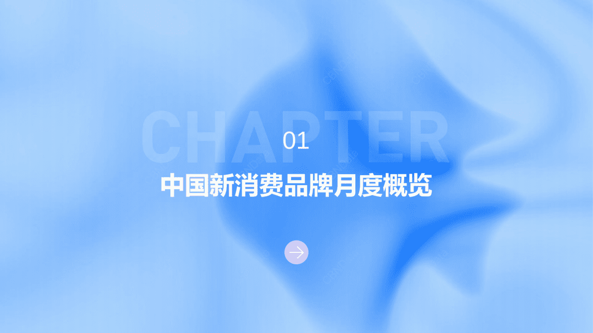 CBNData：2022年12月中国新消费品牌观察报告 第4页
