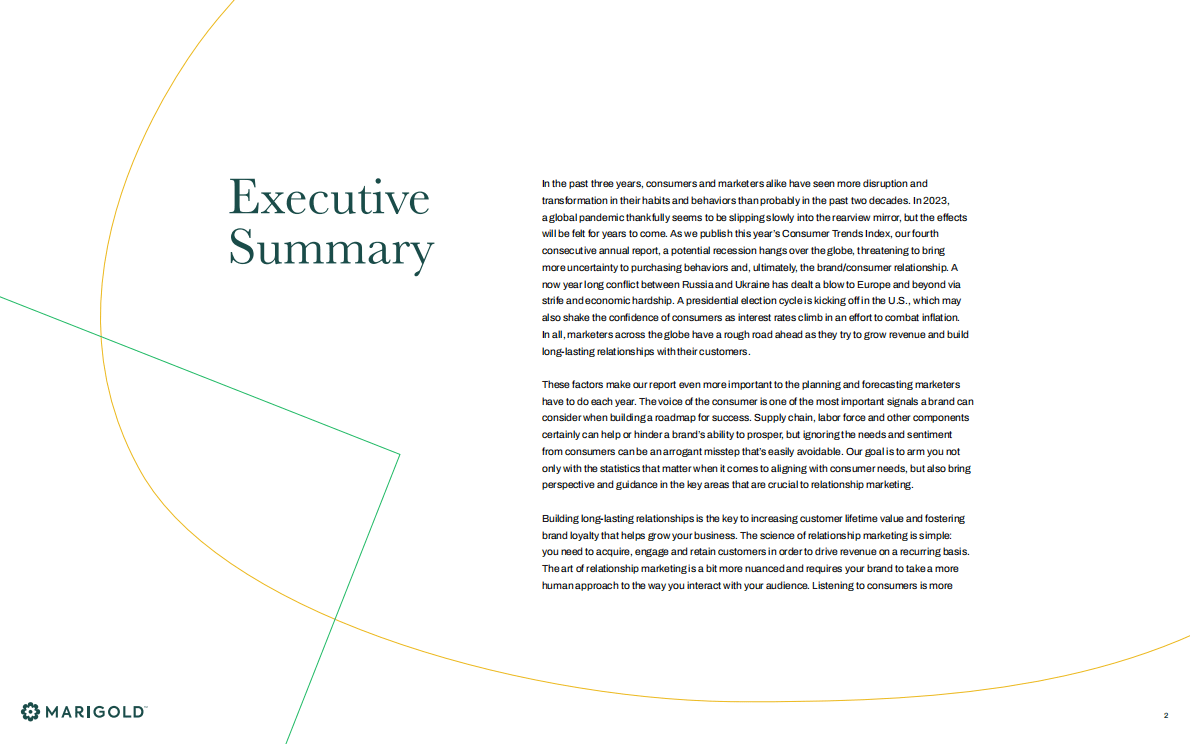 MARIGOLD：2023年消费趋势指数报告【英文版】 第2页