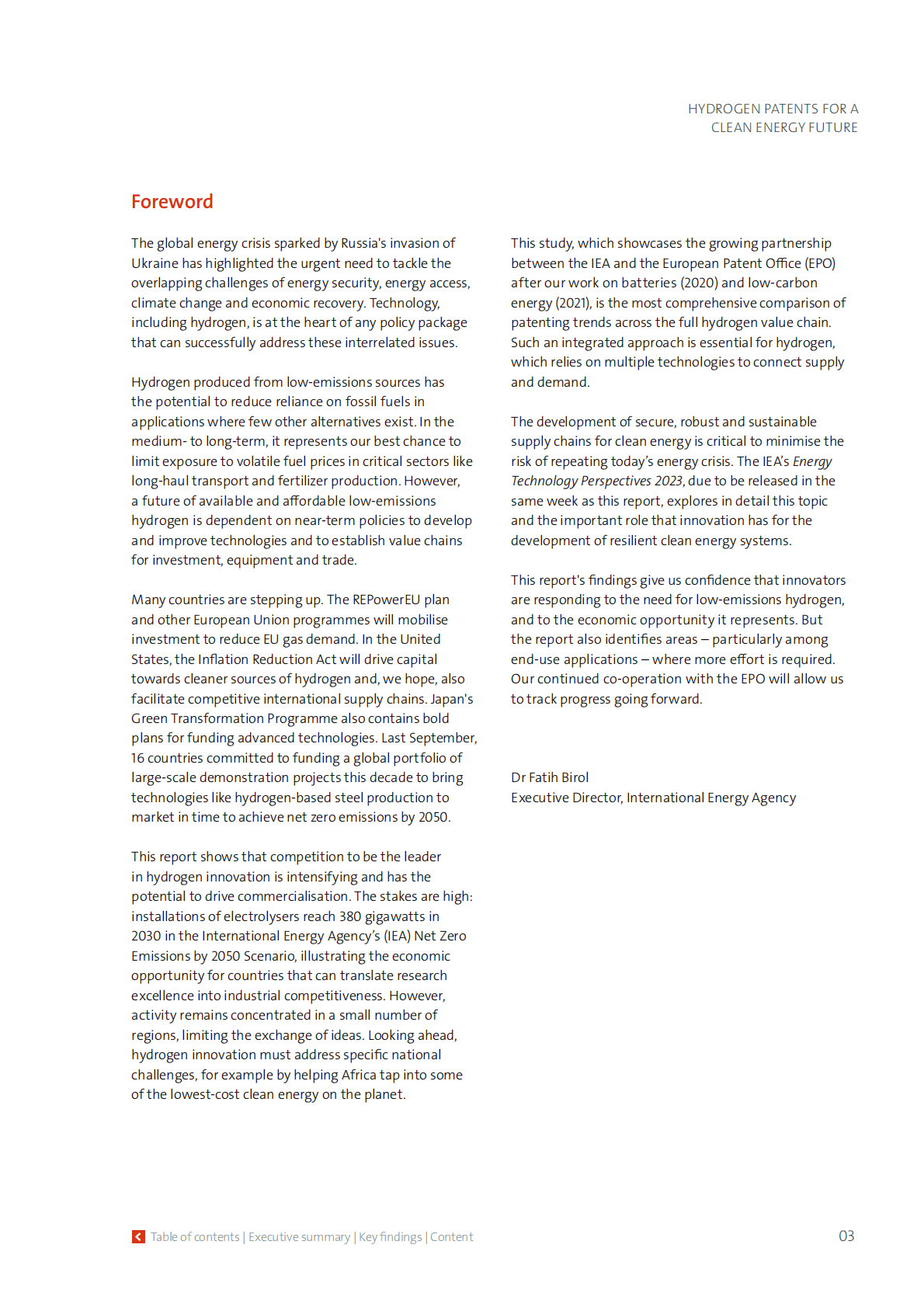 国际能源署（IEA）：清洁能源的未来报告：氢专利【英文版】 第3页