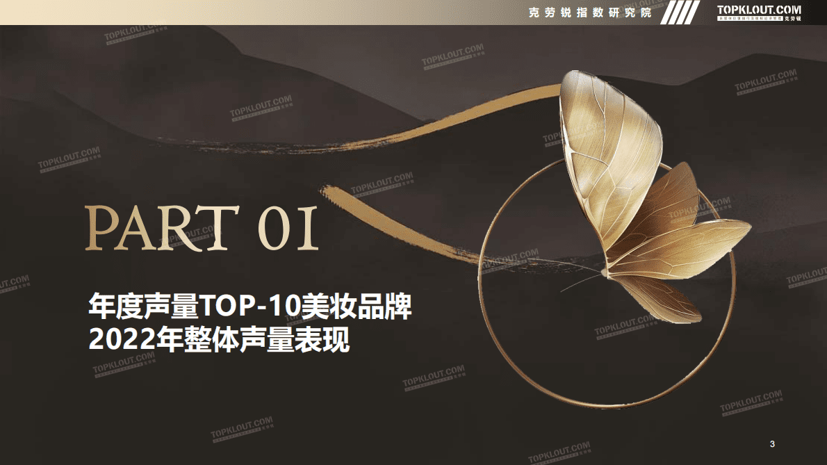 克劳锐：2022年自媒体平台年度声量TOP-10美妆品牌营销盘点 第3页