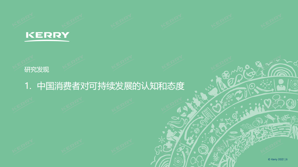 凯爱瑞：2022年中国可持续发展白皮书 第6页