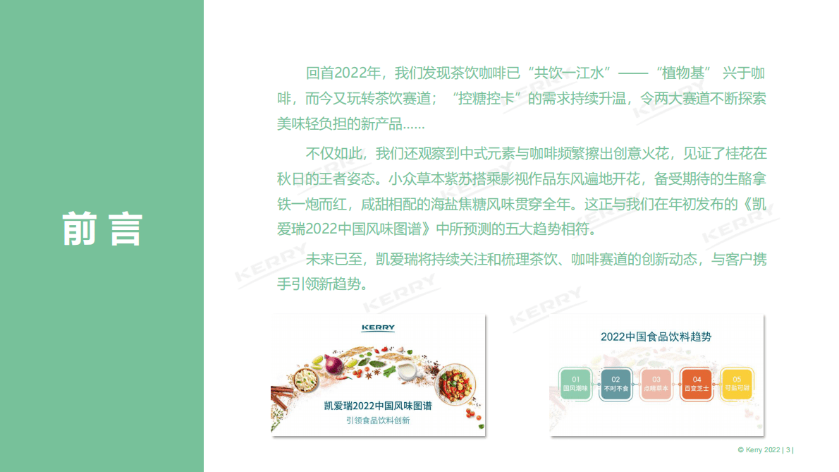 凯爱瑞：2022饮品观察年报 第3页