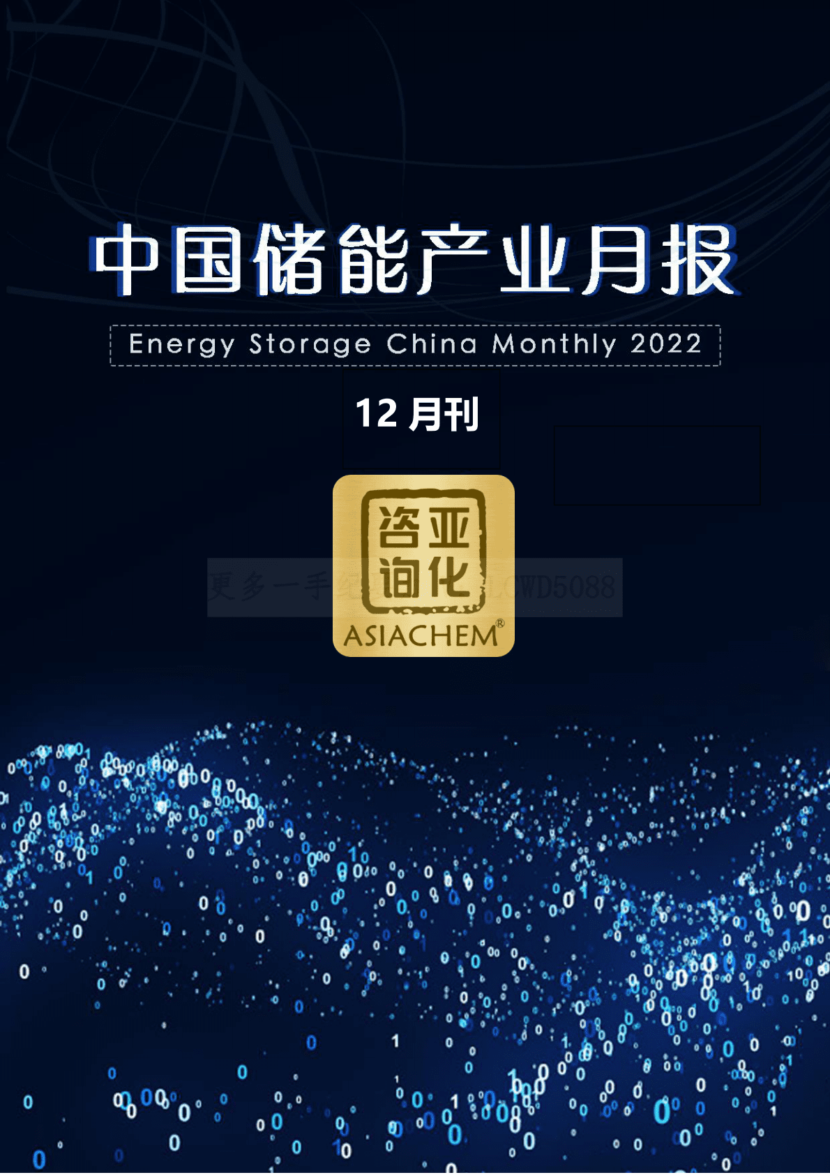中国储能产业月报-12月 第1页