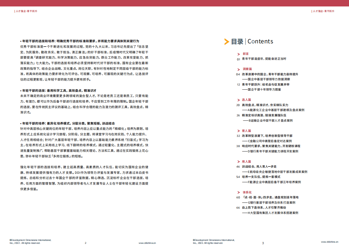 DDI：人才强企·青干跃升：国企人才队伍建设专刊 第3页