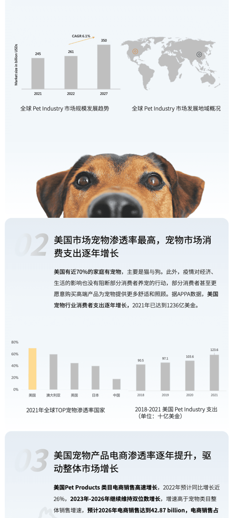 西窗科技：宠物用品企业出海营销方案 第2页