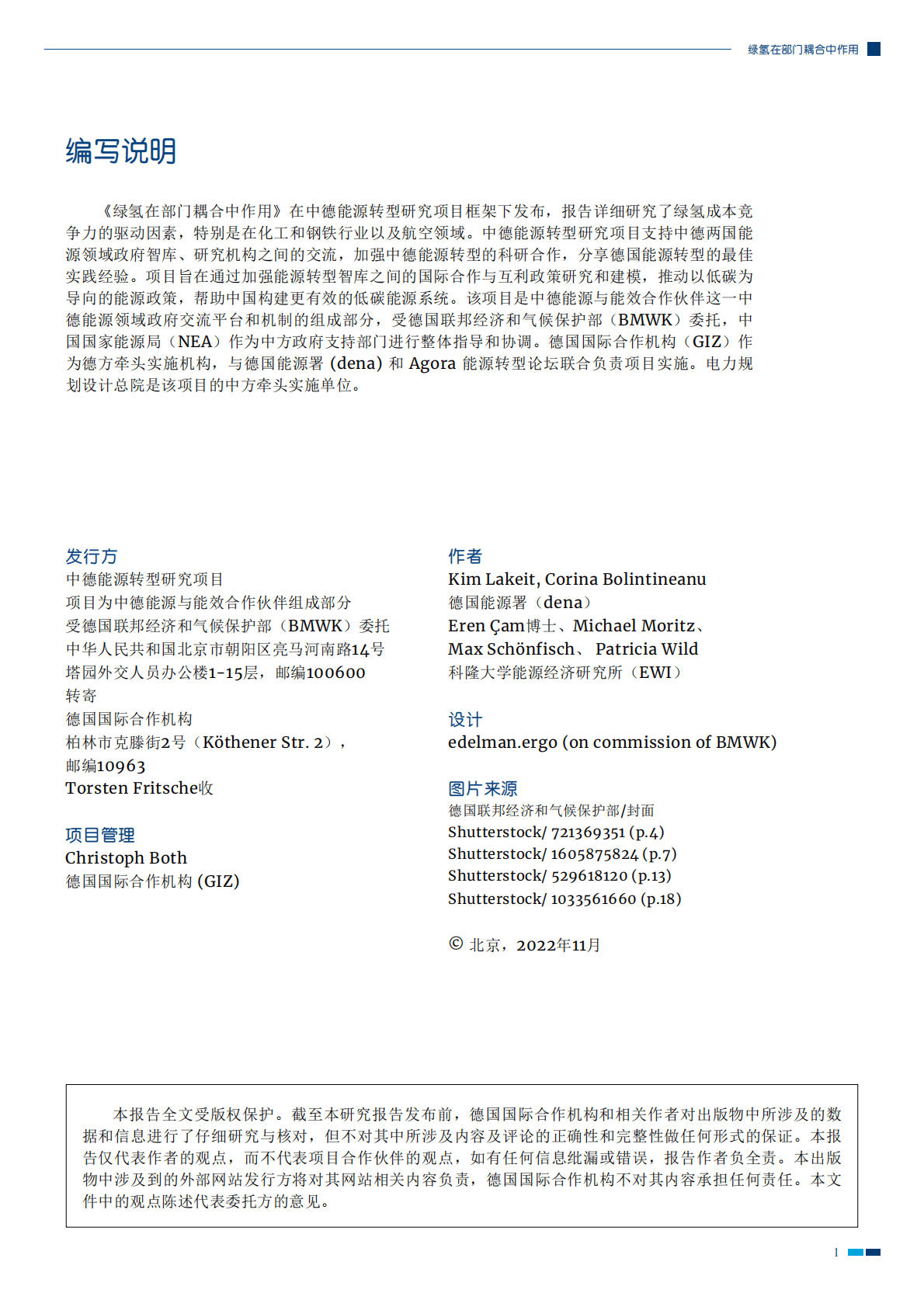 GIZ：绿氢在部门耦合中的作用 第2页