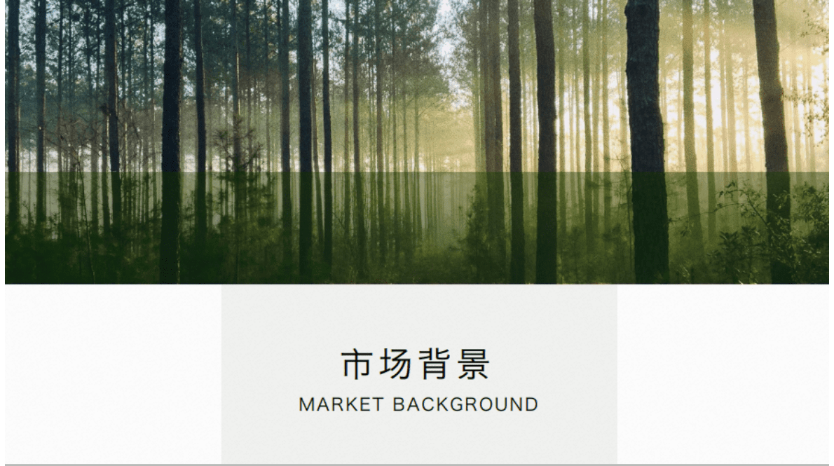 TMIC&天猫美妆&凯度：纯净美容行业白皮书 第2页