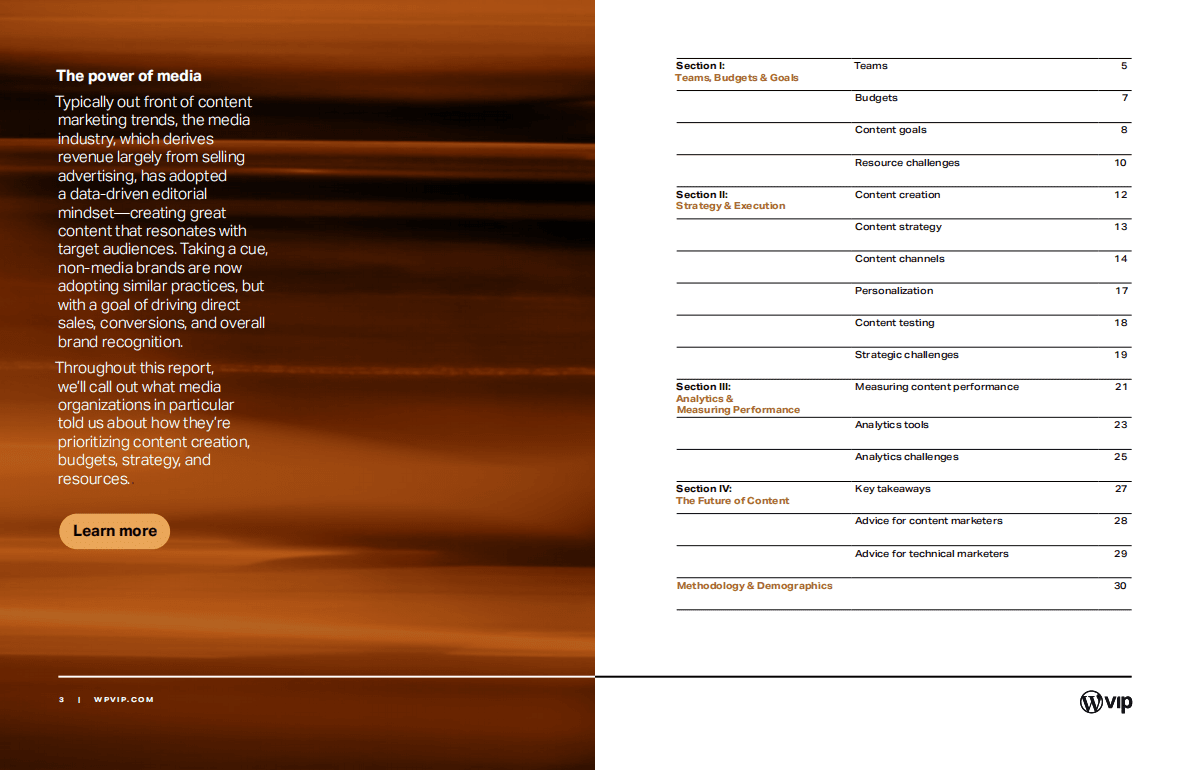 WPVIP：2023年内容营销报告【英文版】 第3页