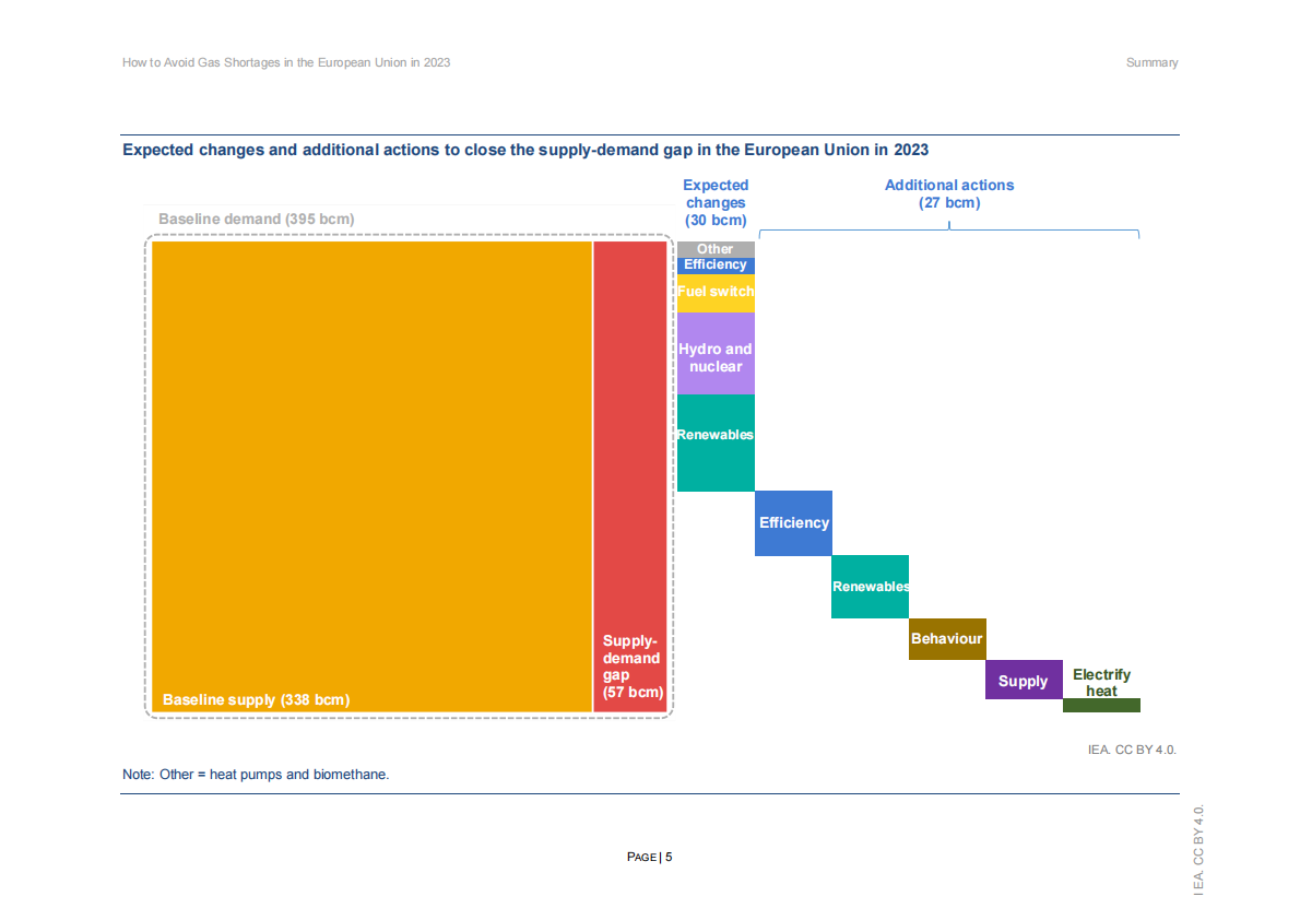 国际能源署（IEA）：2023年欧盟如何避免天然气短缺【英文版】 第5页