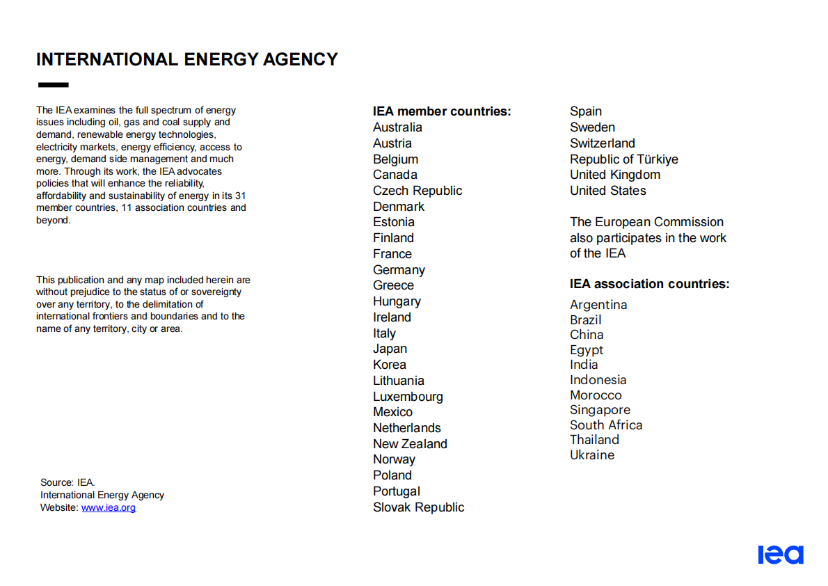 国际能源署（IEA）：全球电力市场报告2023【英文版】 第2页