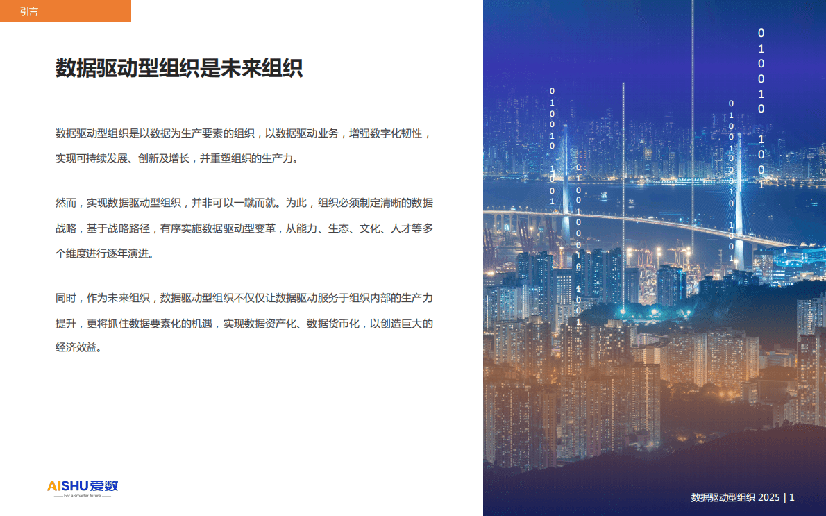 爱数：数据驱动型组织2025 第2页