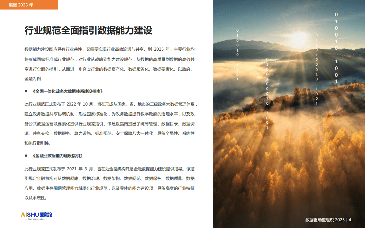 爱数：数据驱动型组织2025 第5页