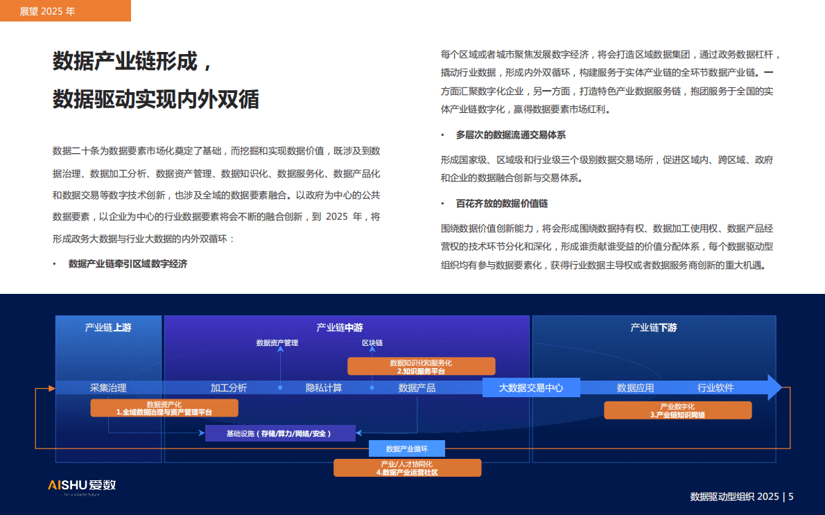 爱数：数据驱动型组织2025 第6页