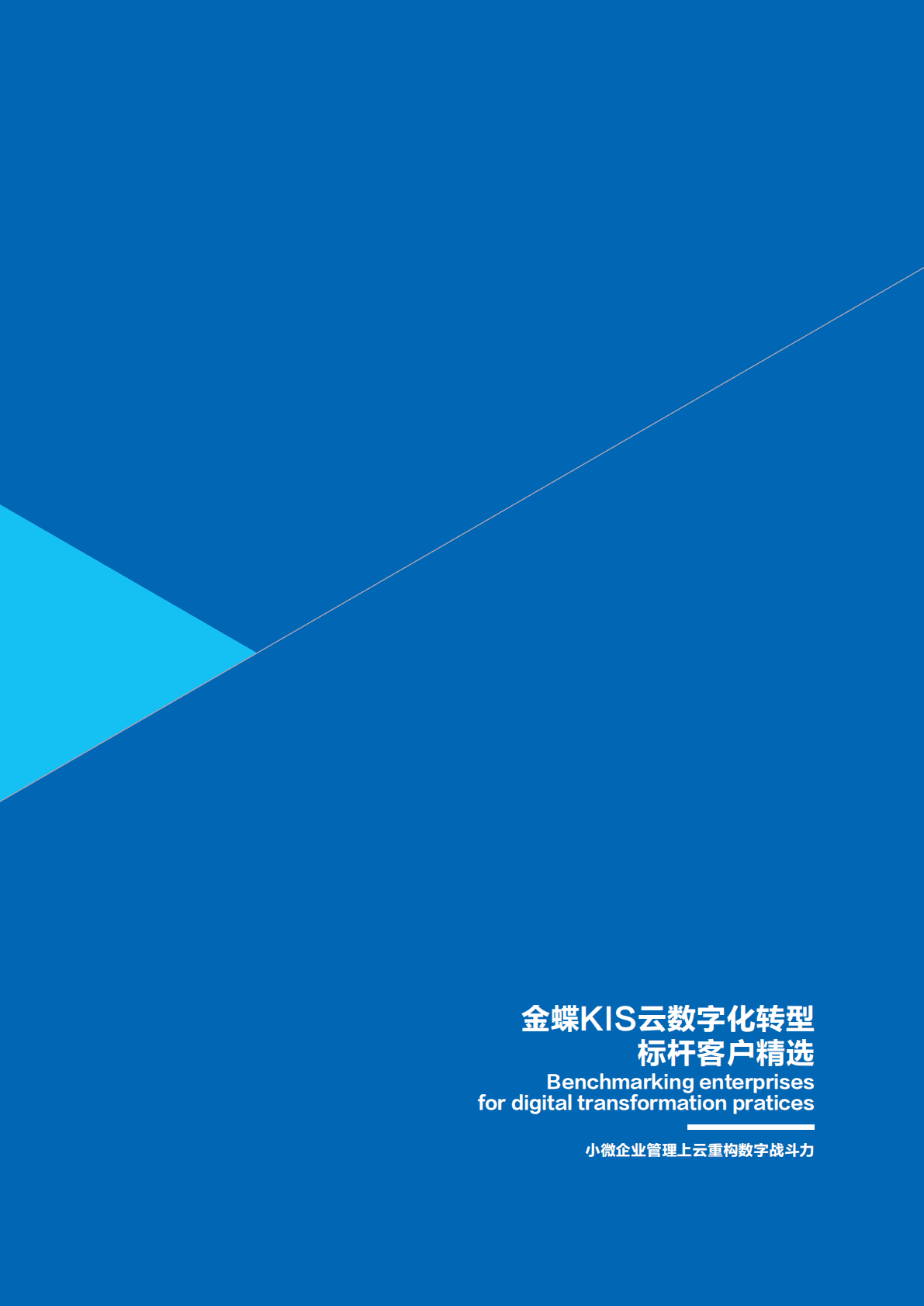 金蝶：金蝶KIS云数字化转型标杆客户精选 第2页