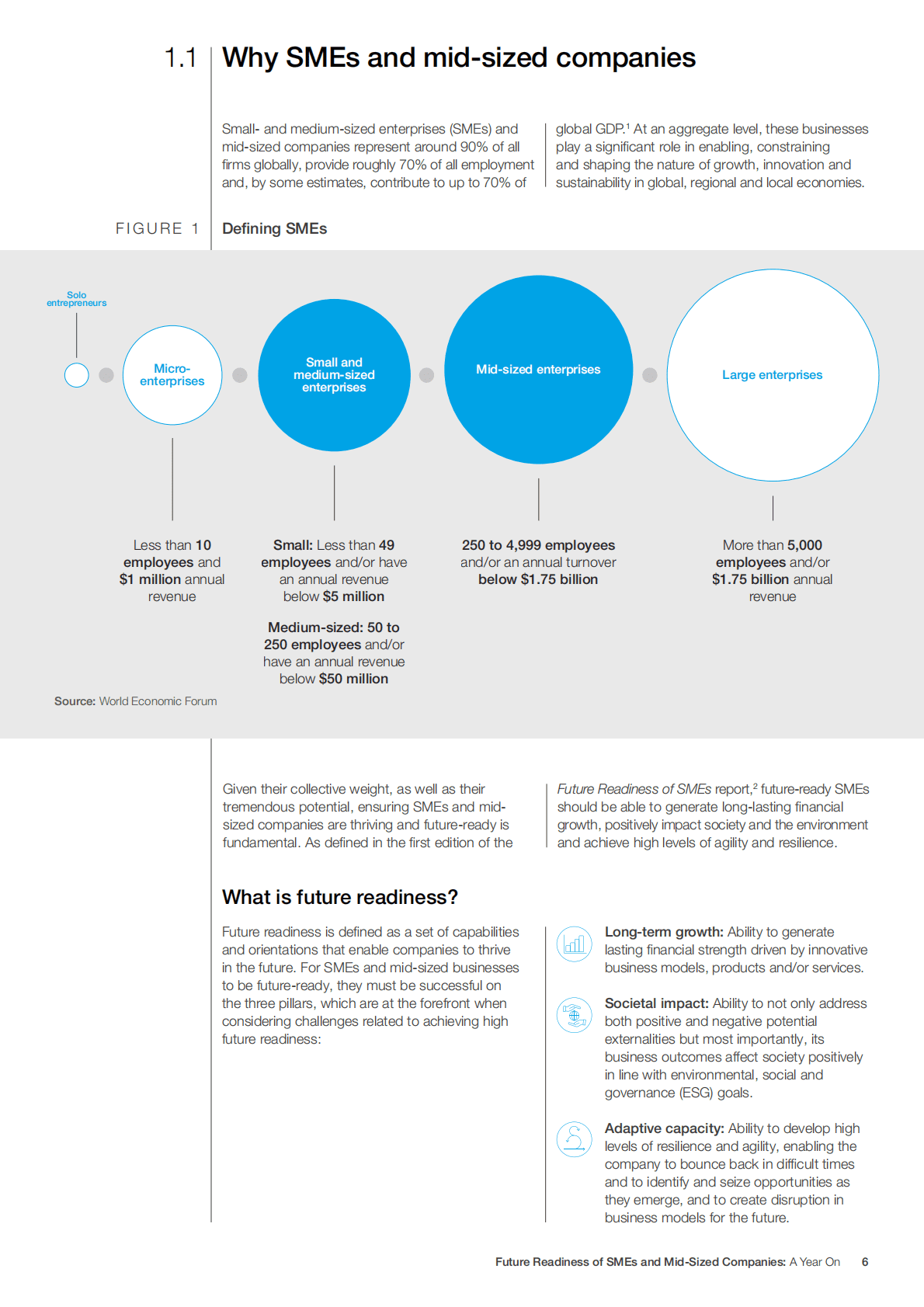 世界经济论坛：中小企业对未来的准备【英文版】 第6页
