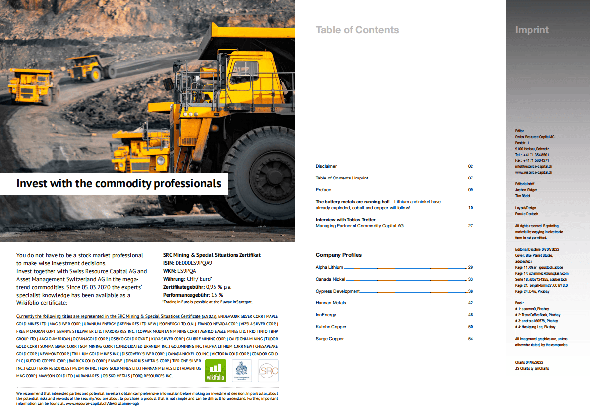 SRC：2022年电池金属报告【英文版】 第4页