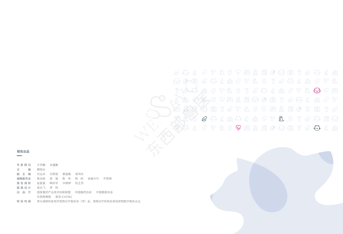 爱宠：2022中国宠物医疗行业白皮书 第2页