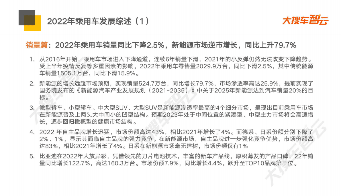 大搜车智云：2022年乘用车市场白皮书 第3页