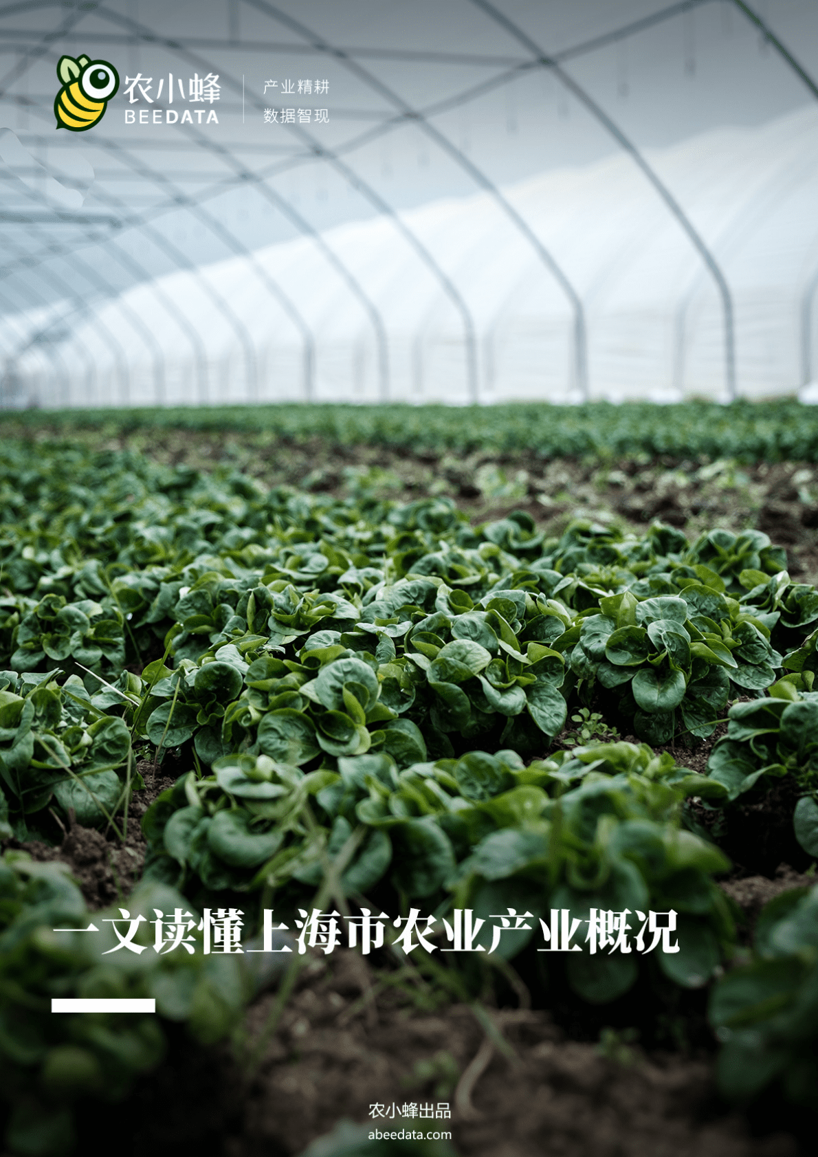 农小蜂：一文读懂上海市农业产业概况 第1页