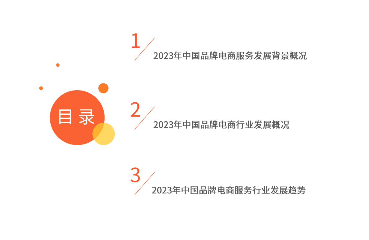 艾媒咨询：2023年中国品牌电商服务行业研究报告 第4页