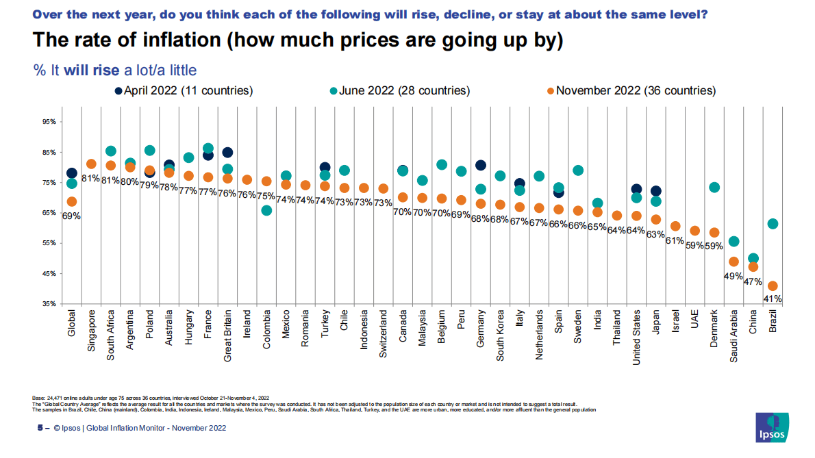 益普索：2022年全球通胀报告【英文版】 第5页