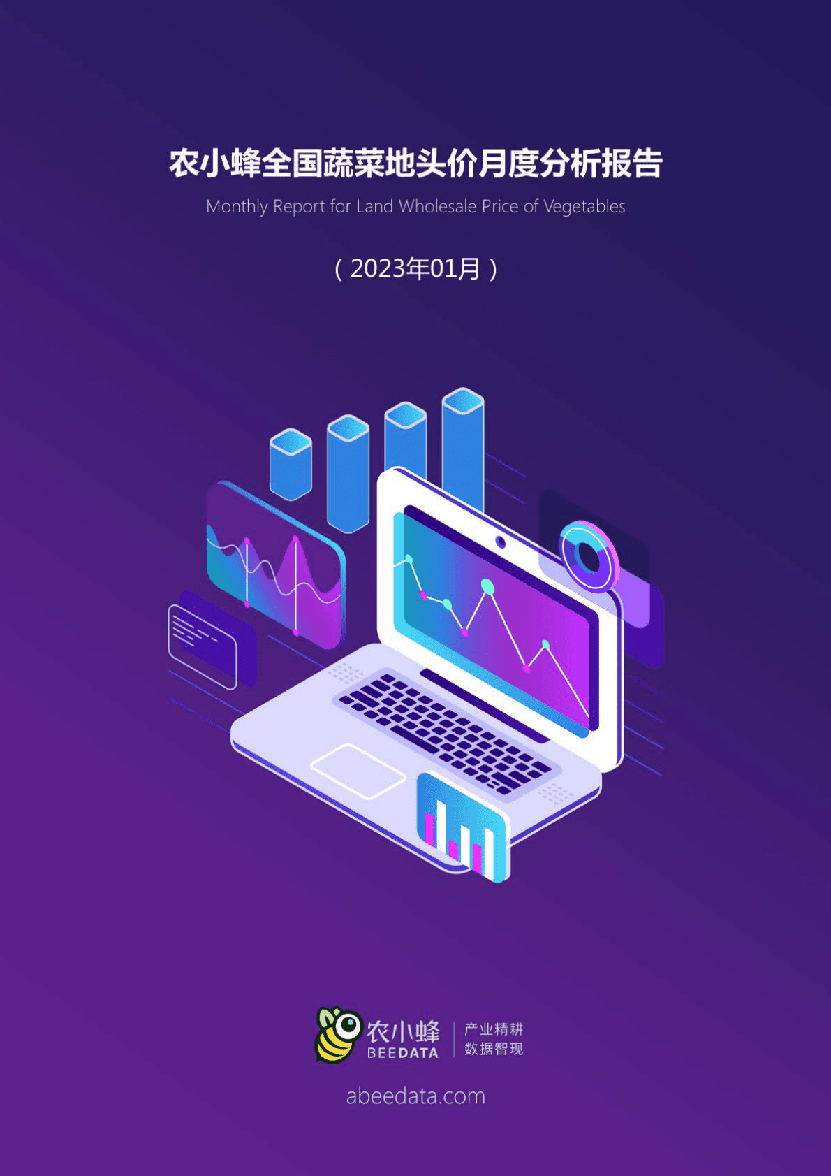 全国蔬菜地头价月度分析报告（2023年1月） 第1页