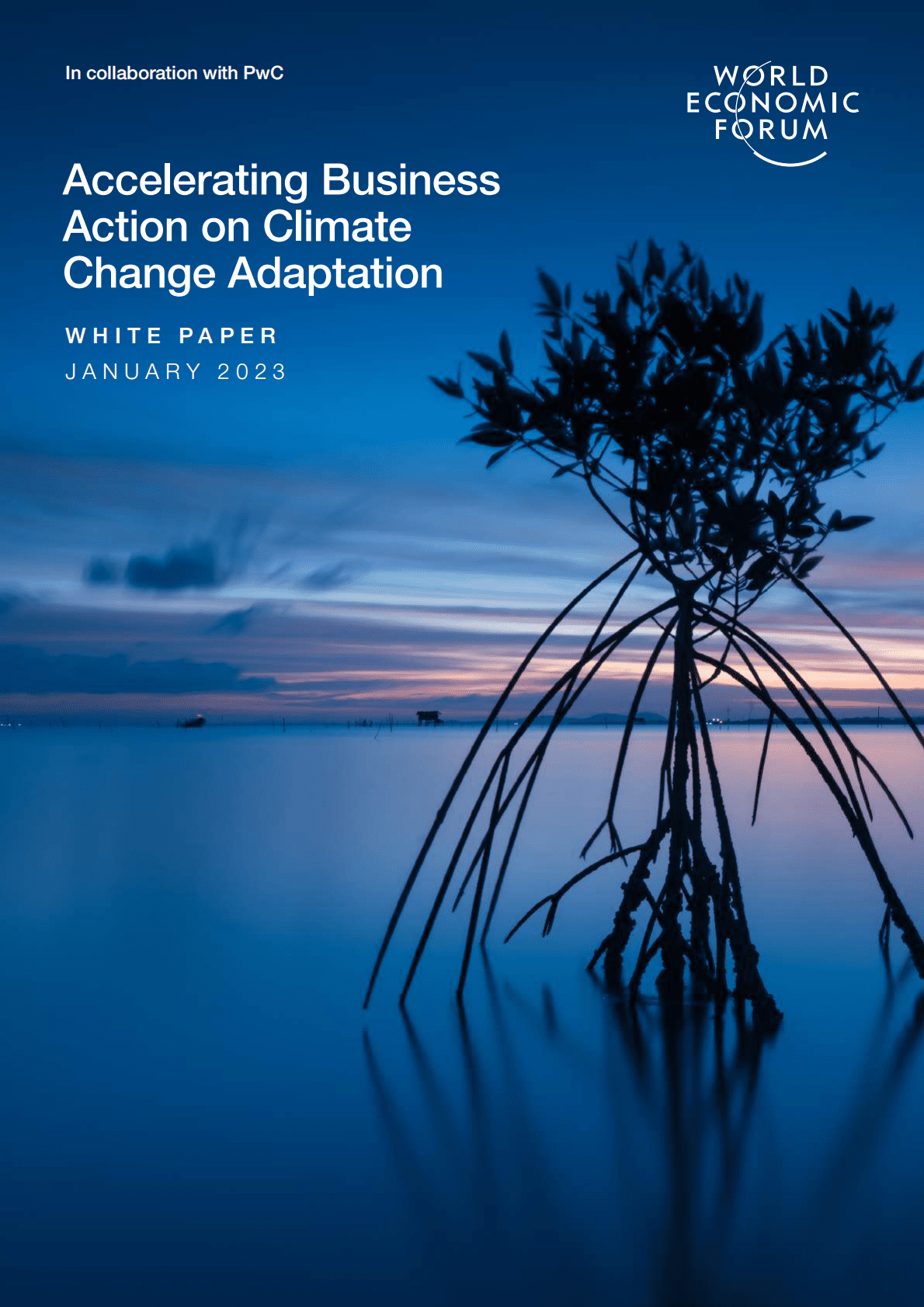 世界经济论坛&普华永道：加速推进适应气候变化的商业行动白皮书【英文版】 第1页
