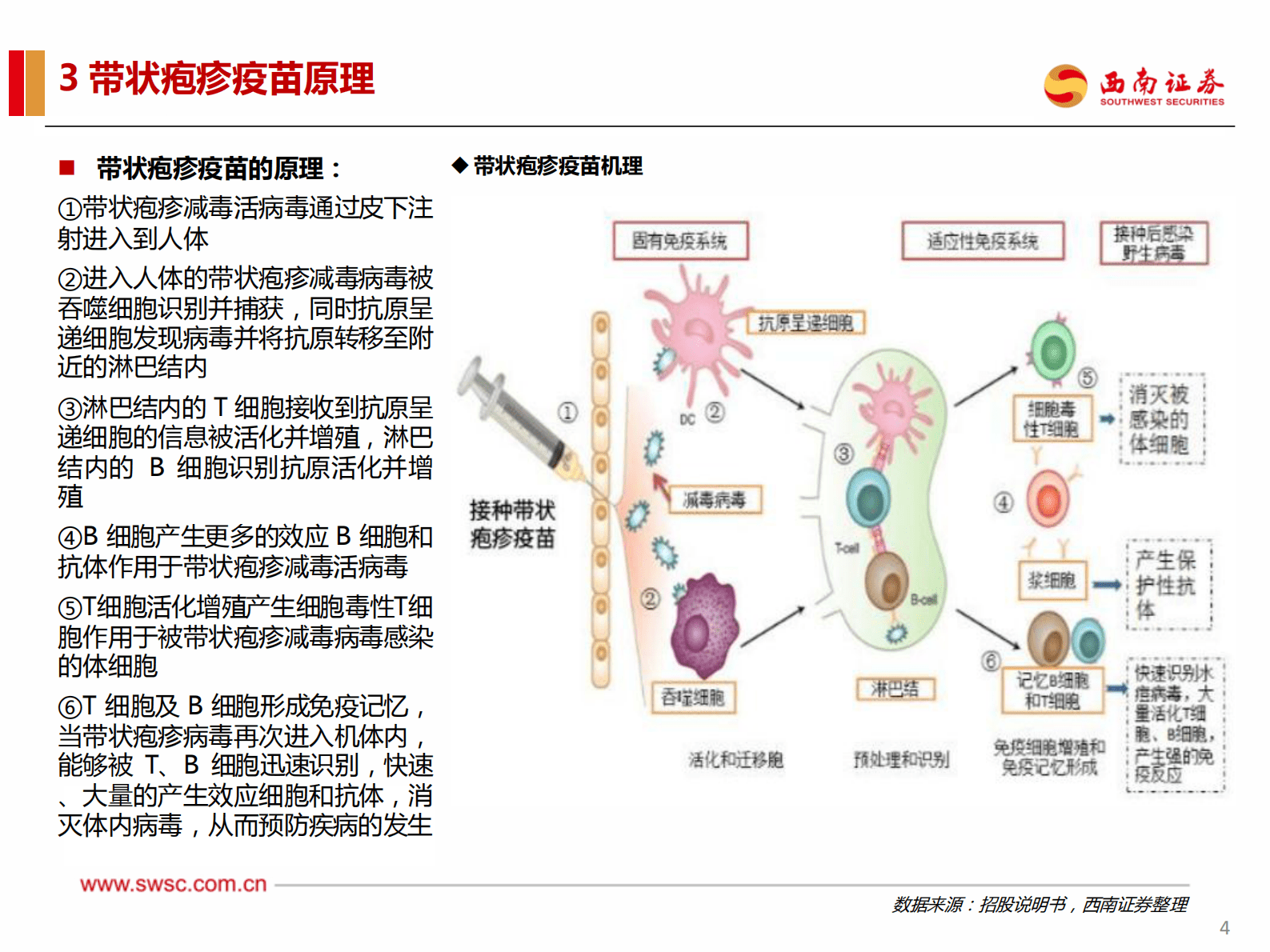带状疱疹疫苗专题研究报告：百亿级别成人疫苗品种，渗透率提升空间巨大 第5页