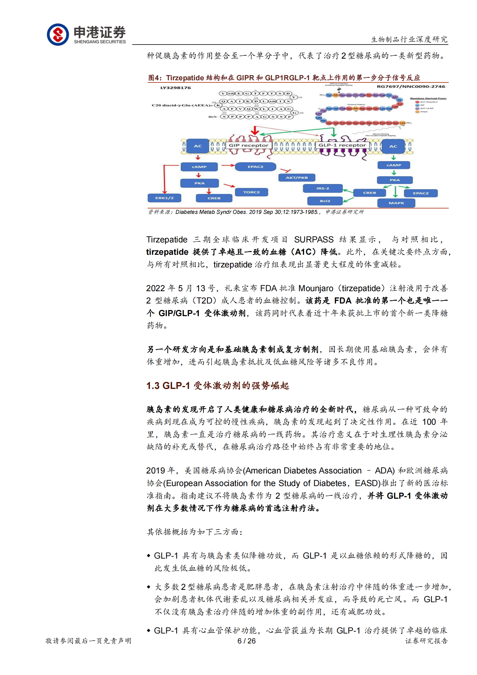 生物制品行业深度研究：GLP-1RA药物 下一站药王 第6页