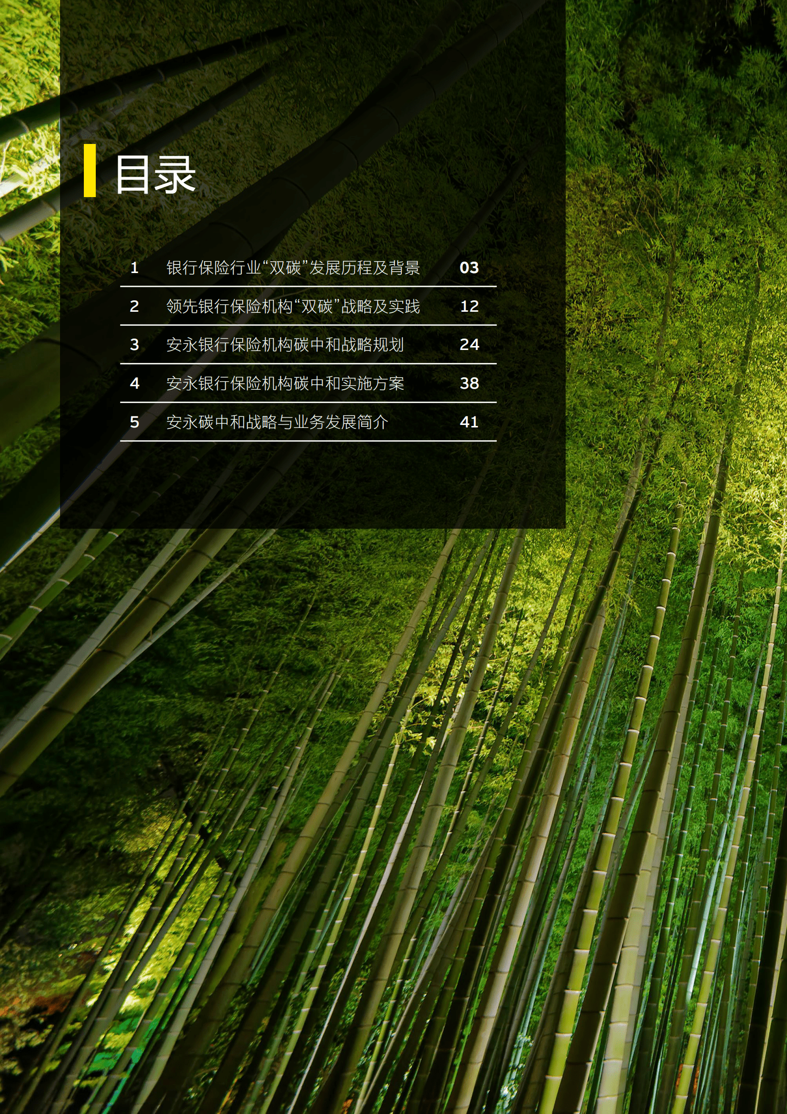 安永：2023银行保险机构碳中和战略白皮书 第2页