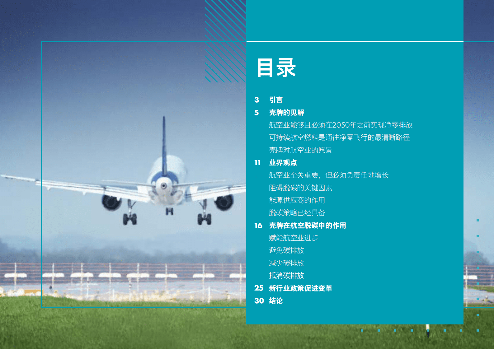 壳牌：航空脱碳：壳牌公司的航空之路 第2页