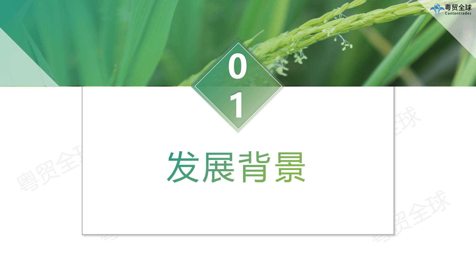 粤贸全球：2023中国农产品跨境出海调研报告 第3页