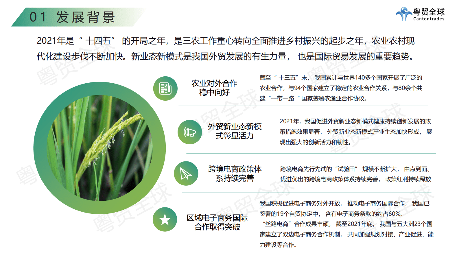 粤贸全球：2023中国农产品跨境出海调研报告 第4页