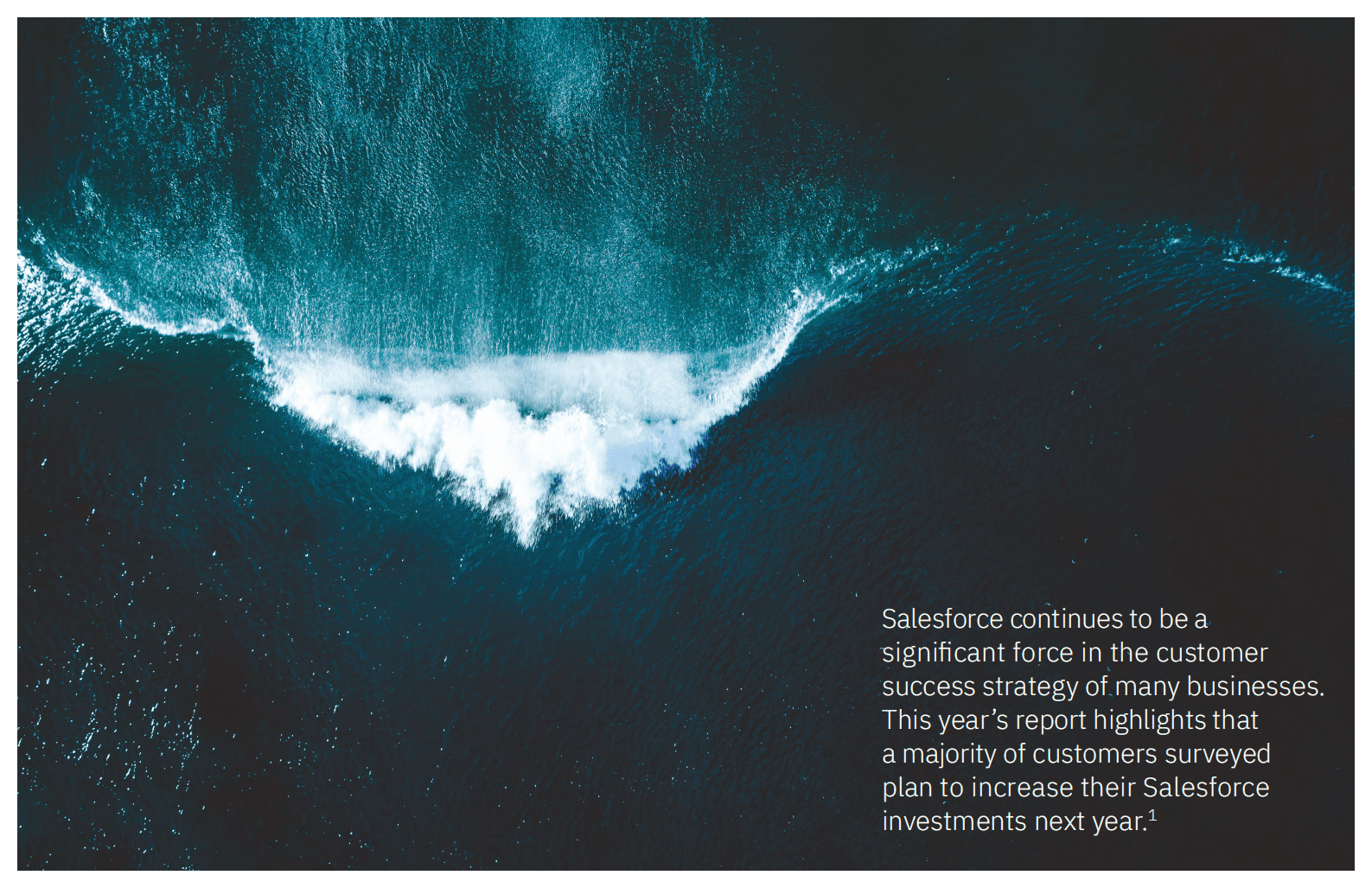 IBM：2022-2023年Salesforce报告【英文版】 第2页