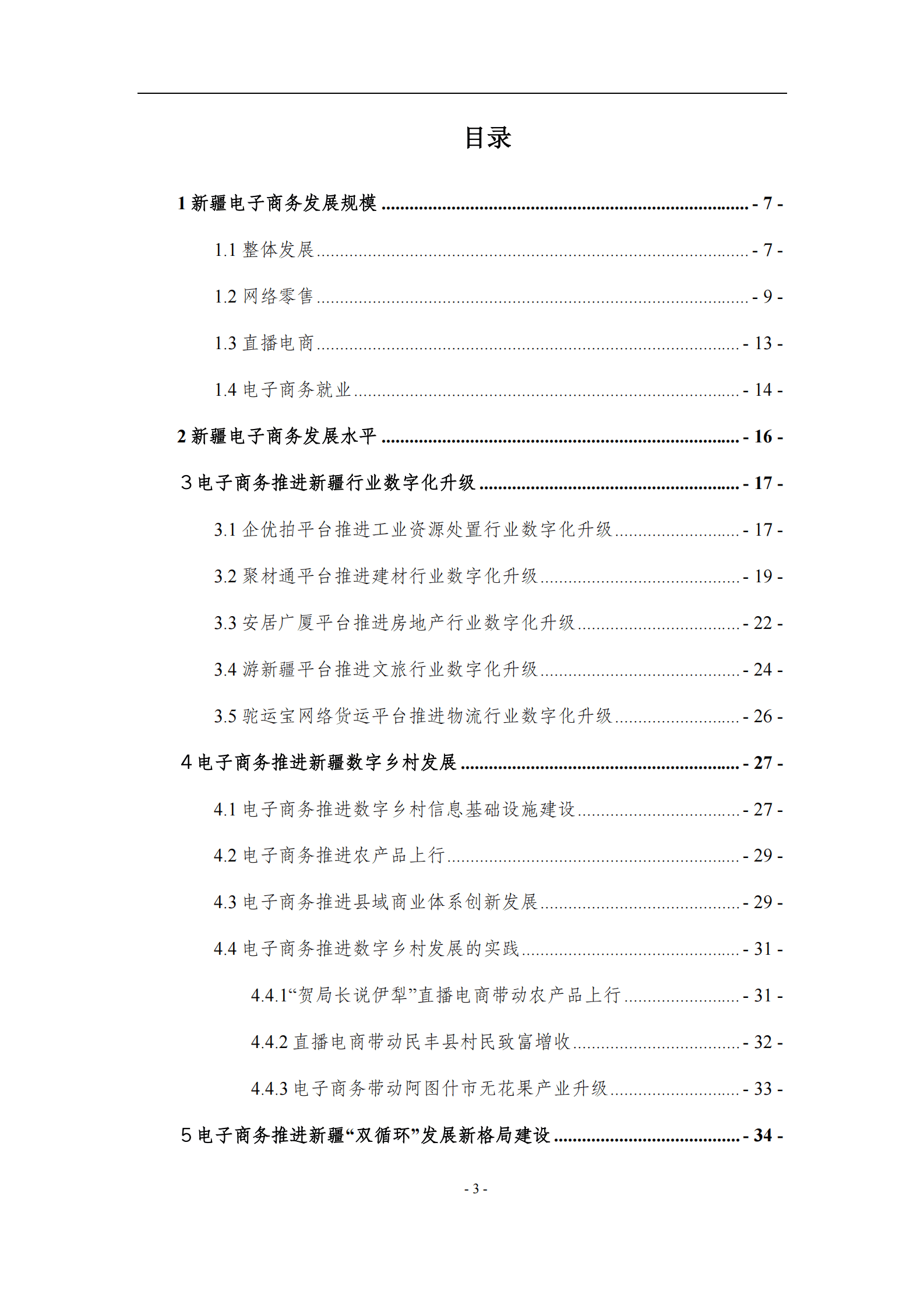 新疆大学：新疆电子商务发展研究报告（2022） 第3页