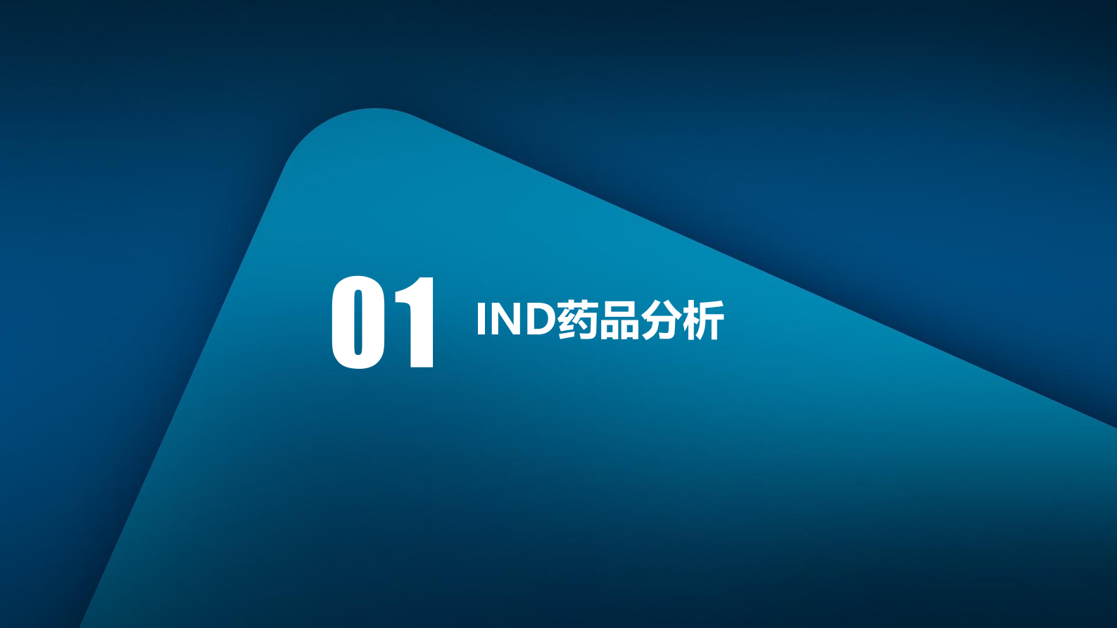 医药魔方：2022年中国新药注册审评报告 第6页