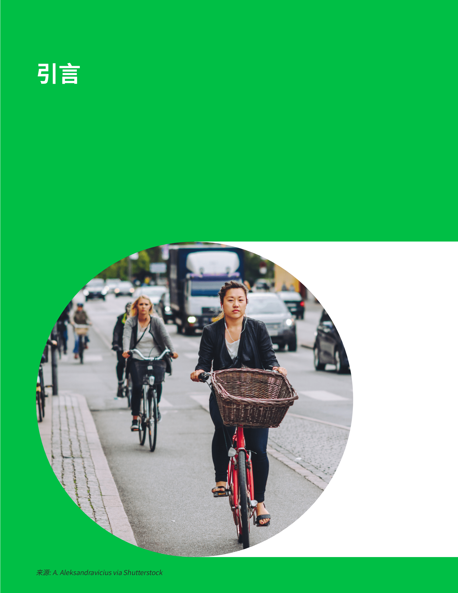 ITDP：推广骑行的经济方案 第3页