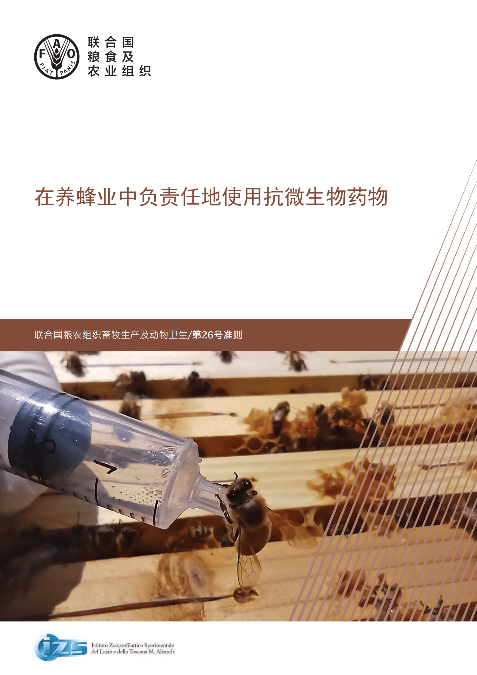 联合国粮农组织：在养蜂业中负责任地使用抗微生物药物 第1页