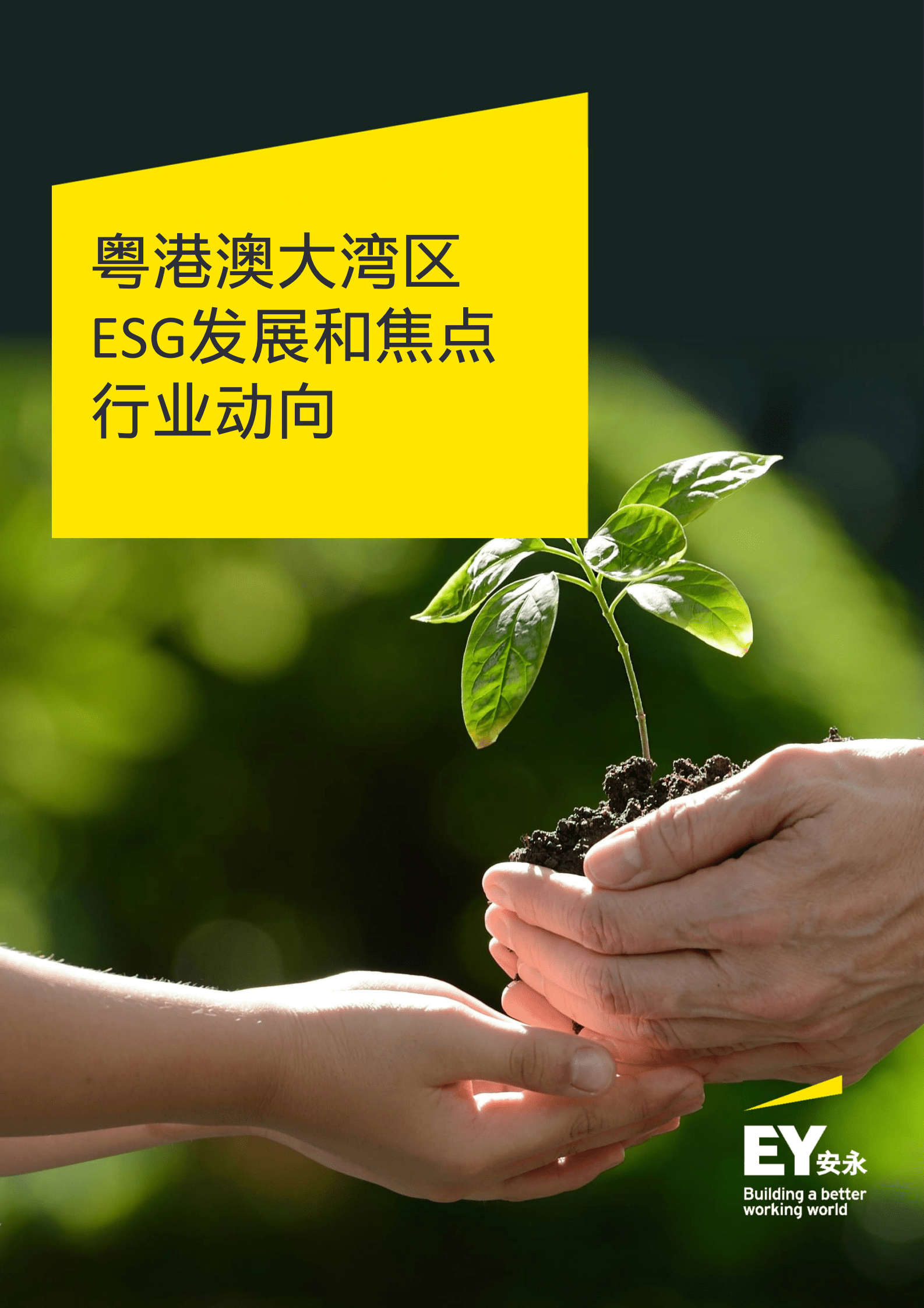 安永：粤港澳大湾区ESG发展和焦点行业动向 第1页