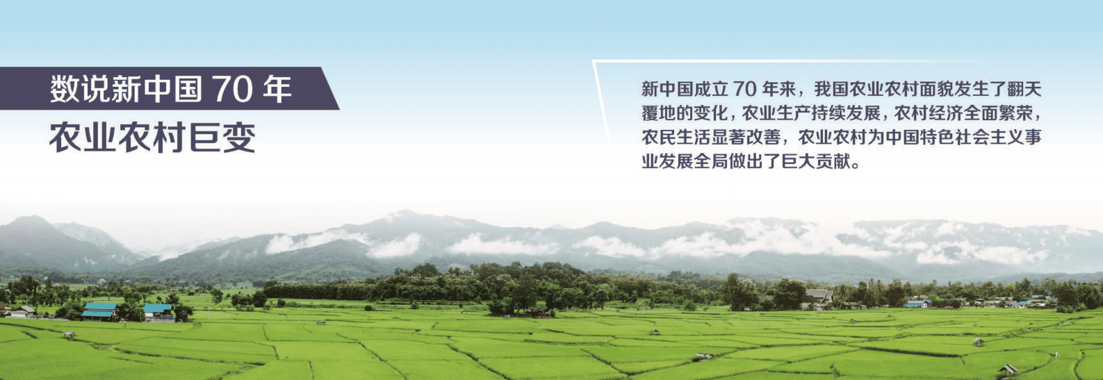 数说新中国70年农业农村巨变 第2页