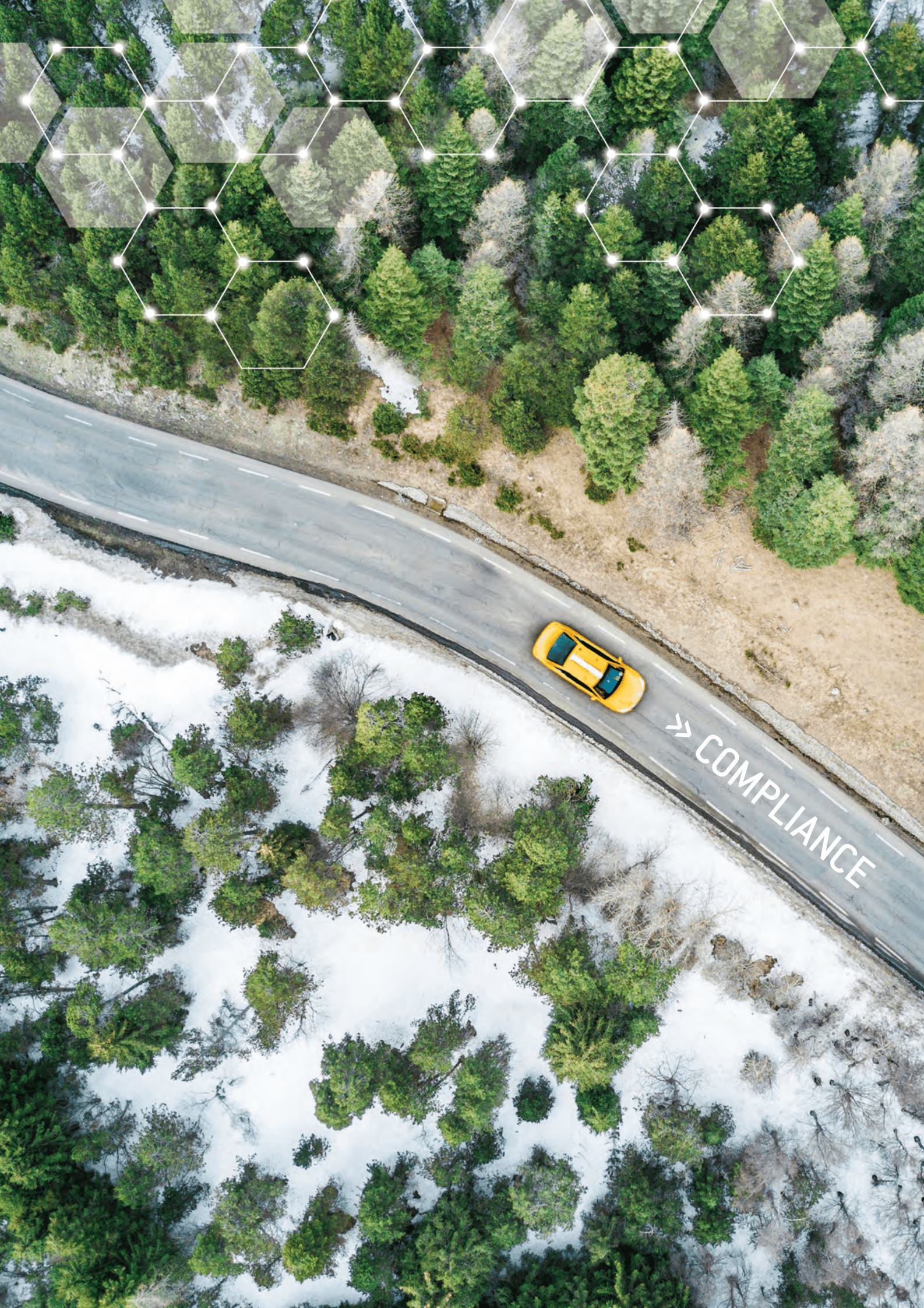 ACEA：REACH汽车工业指南【英文版】 第6页