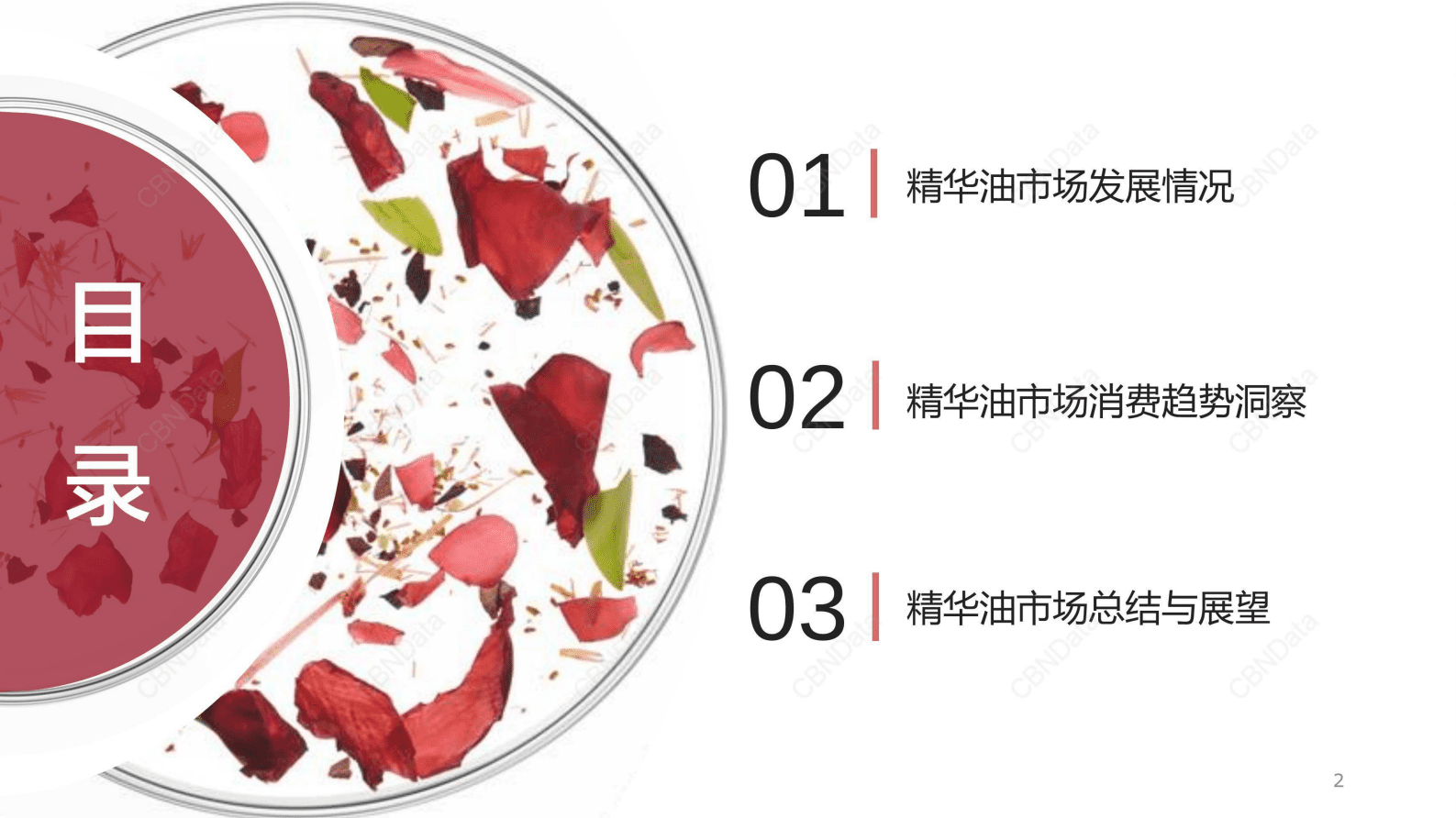 CBNData：2023油类精华消费趋势洞察报告 第2页