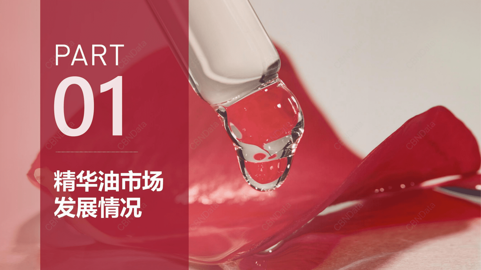 CBNData：2023油类精华消费趋势洞察报告 第3页